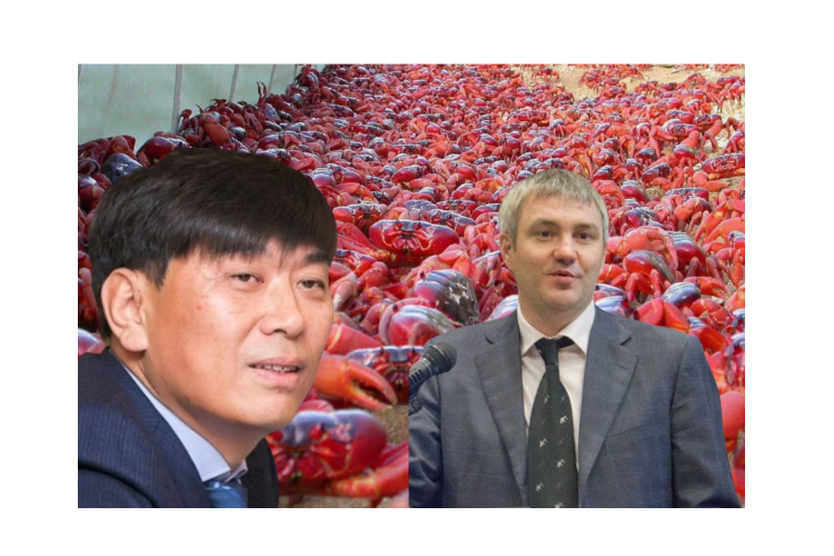 Генеральная прокуратура требует 400 млрд рублей от "крабовых королей"! Незаконная добыча краба на дальнем востоке выходит на поверхность